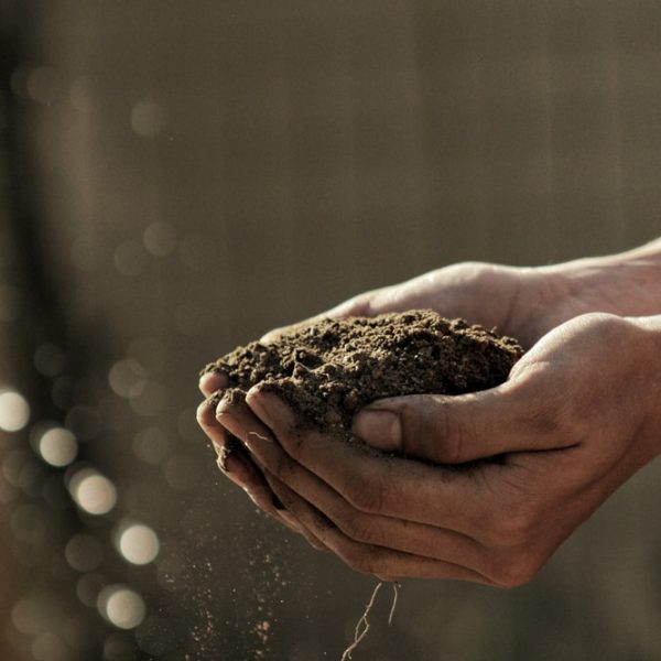 bokeh photography of person carrying soil